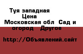Туя западная Columna › Цена ­ 1 500 - Московская обл. Сад и огород » Другое   